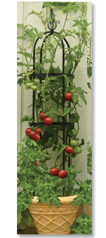 Tomato Tower Obelisk